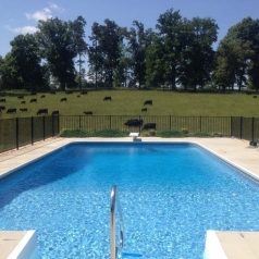 Swimming pool at Maysville Manor